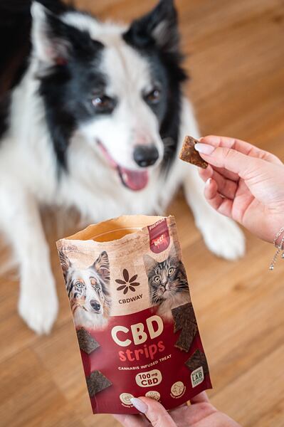CBD pamlsky pro zvířata